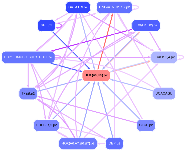 PNG image of the network